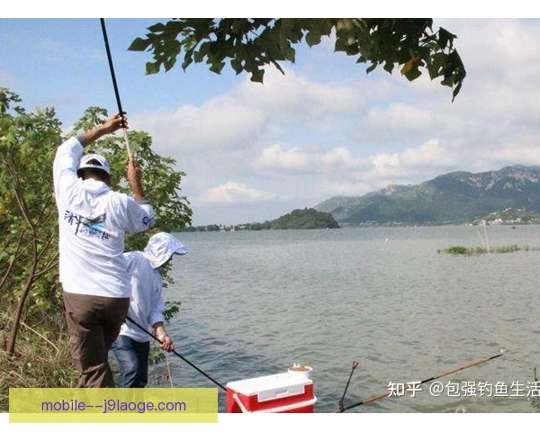 海钓抛竿落点找得准，鱼群连竿上钩不停歇